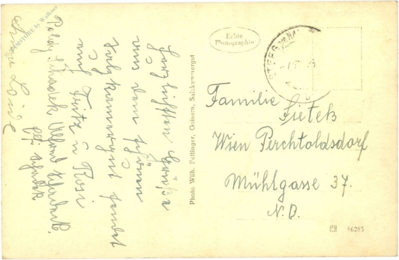 hallstatt, blick nach hallstatt und hirlatz