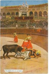 caida de un picador caida de un picador