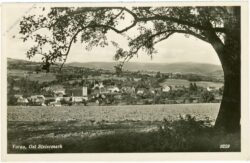 vorau, ortsansicht