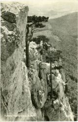 peilstein, vegetariersteig aufstieg