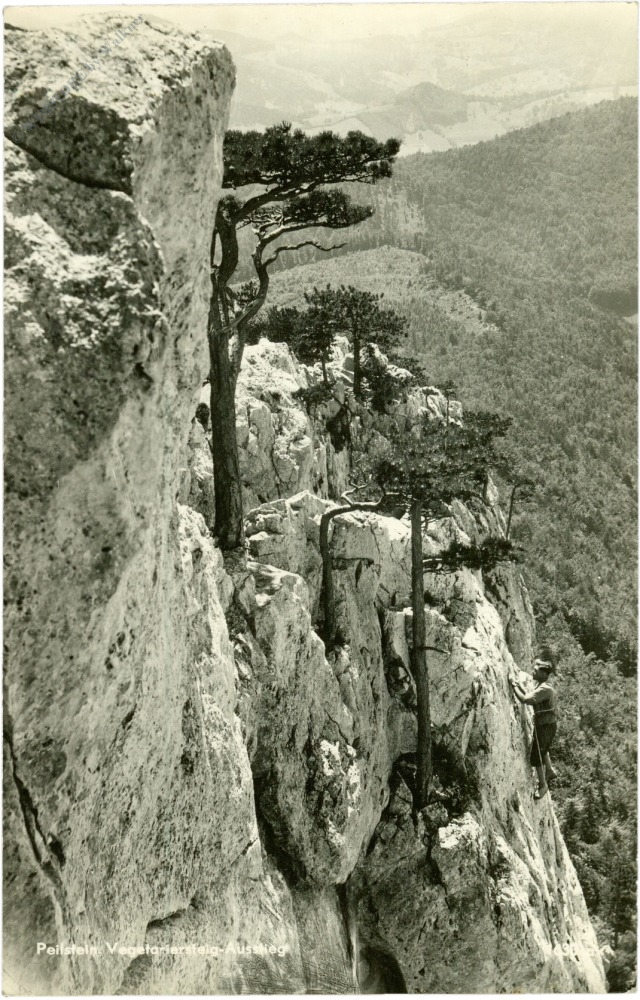 peilstein, vegetariersteig aufstieg peilstein, vegetariersteig aufstieg