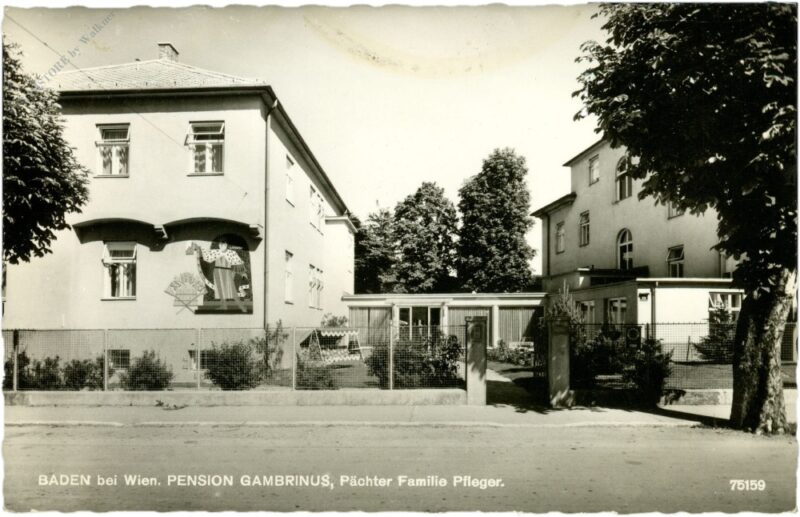 baden, pension gambrinus