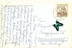 horn, spätberufenenseminar