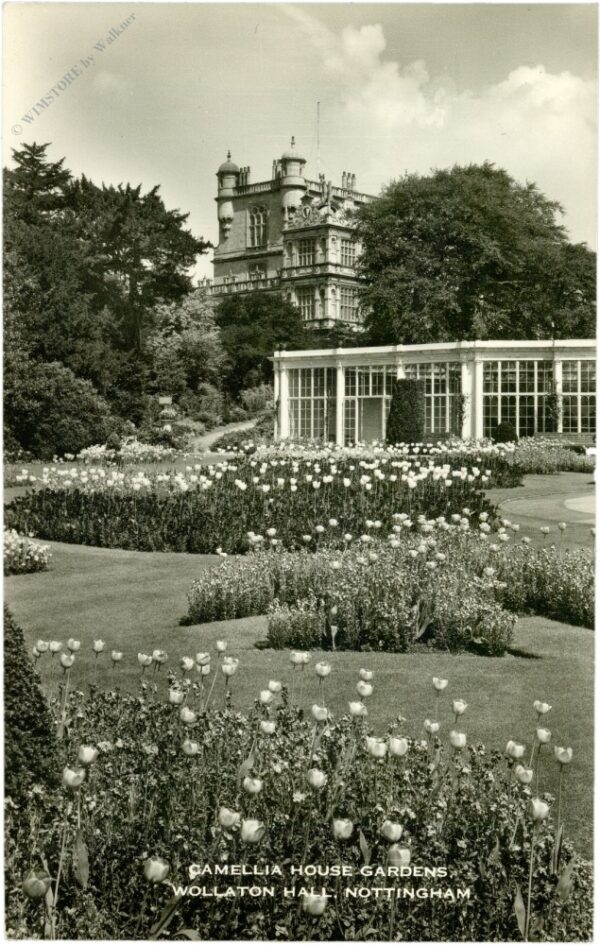 nottingham, wollaton hall, camellia house