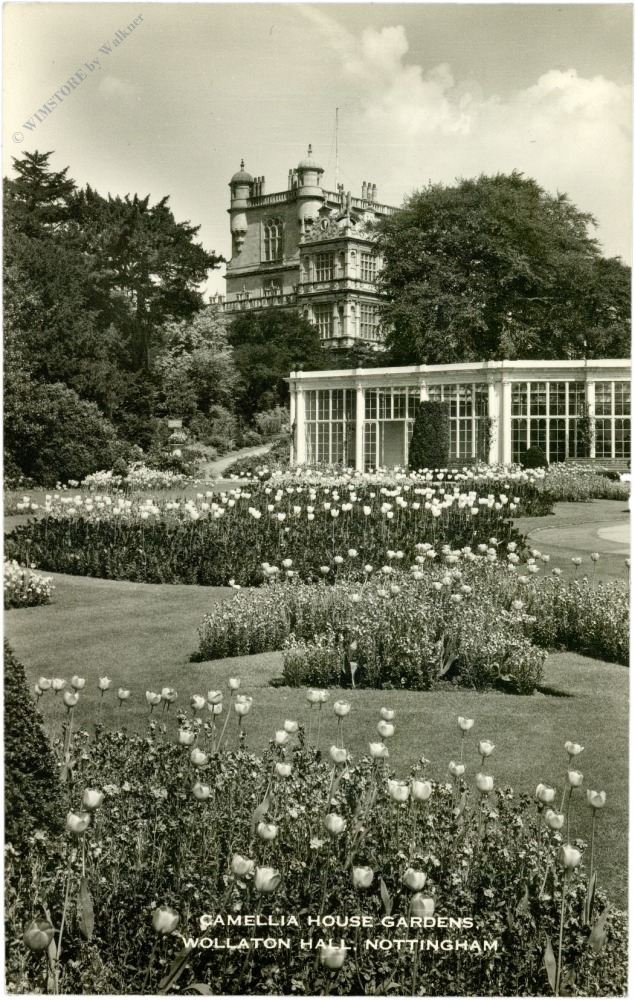 nottingham, wollaton hall, camellia house nottingham, wollaton hall, camellia house