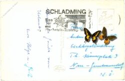 ennspartie, mit grimming