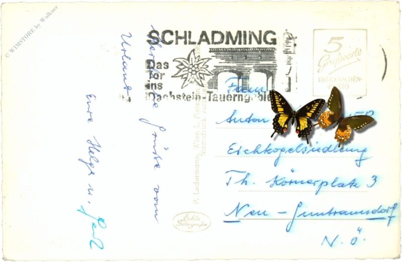 ennspartie, mit grimming