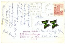 ottertal, hotel pension thalhof