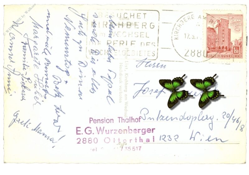 ottertal, hotel pension thalhof