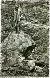 bad ischl, jagdstandbild kaiser franz josefs