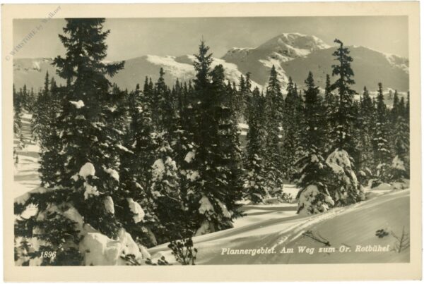 donnersbachwald, plannergebiet, am weg zum gr. rotbühel