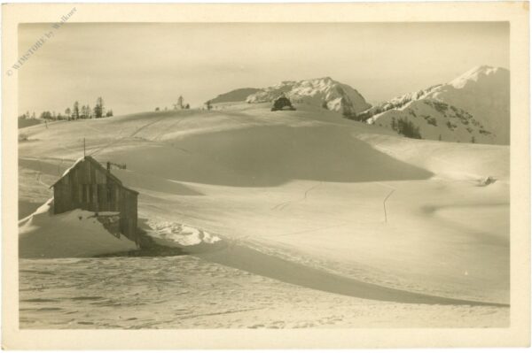 verschneite landschaft