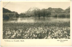ennstal, frühling