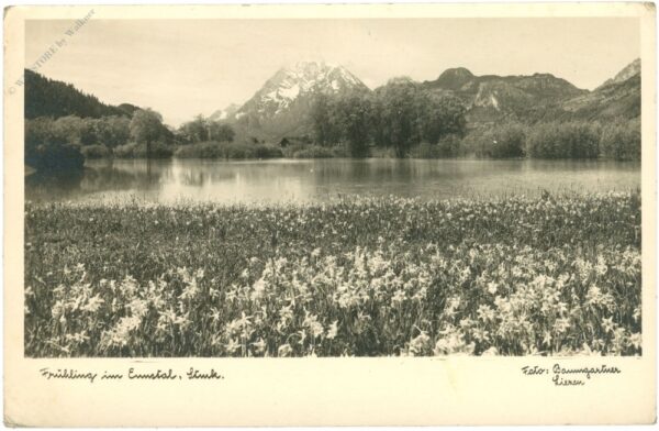 ennstal, frühling