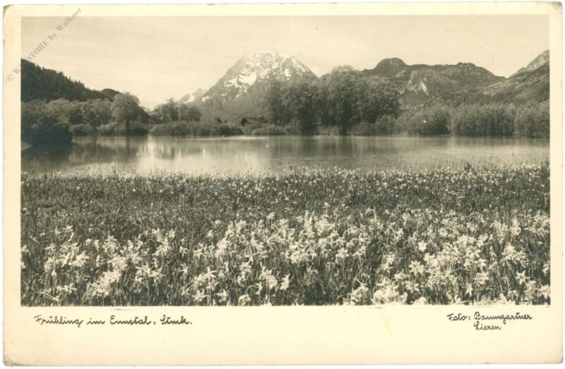 ennstal, frühling