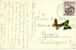 wörschach, ansicht