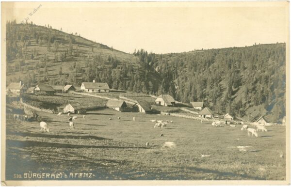 aflenz, bürgeralm
