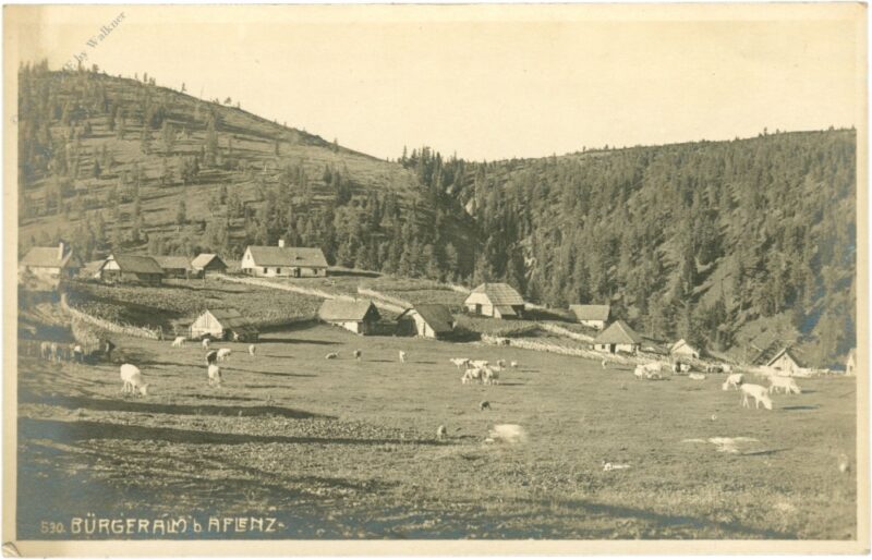 aflenz, bürgeralm