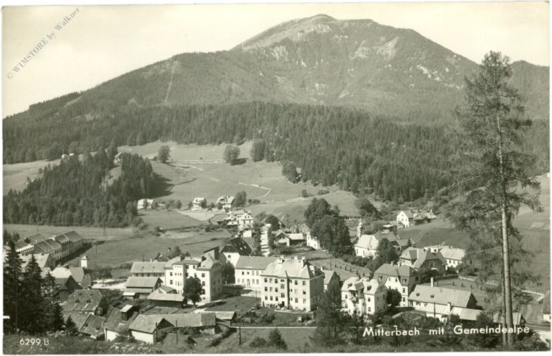 mitterbach, mit gemeindealpe mitterbach, mit gemeindealpe