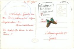 hochschwab, sonnschienhütte mit ebenstein und polster