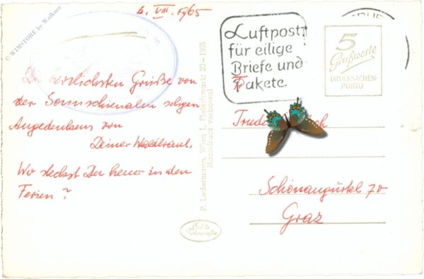 hochschwab, sonnschienhütte mit ebenstein und polster