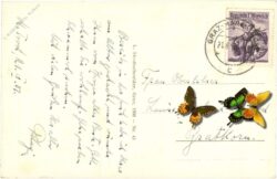 graz, maria trost
