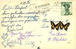 graz, um 1681