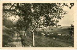 birkfeld, ortsansicht