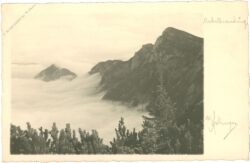 gipfel mit nebelmeer
