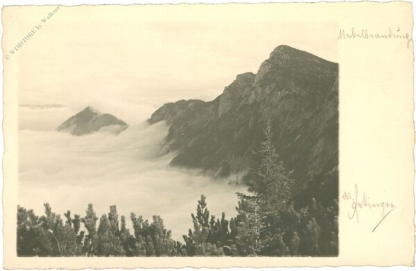 gipfel mit nebelmeer