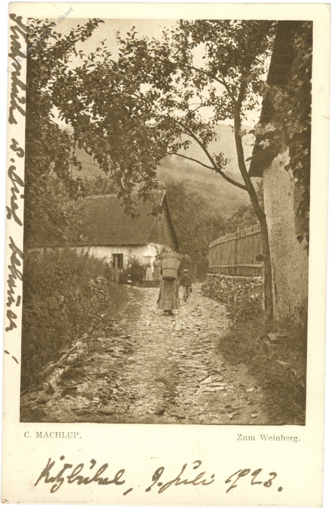 machlup, c.: zum weinberg machlup, c.: zum weinberg