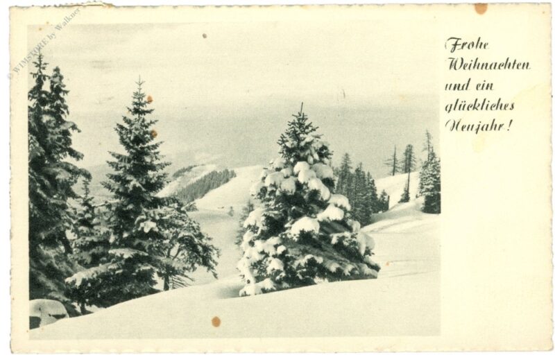 weihnachten, verschneite bäume weihnachten, verschneite bäume