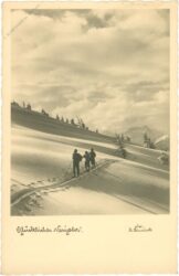 neujahr, langlaufwanderung im neuschnee