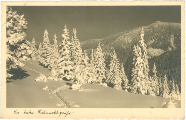 weihnachten, verschneite tannen