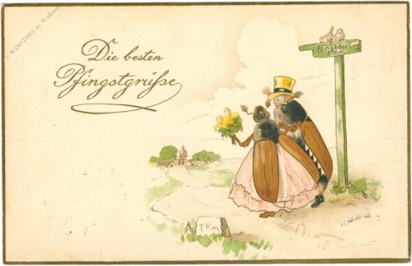 pfingsten, käferpärchen