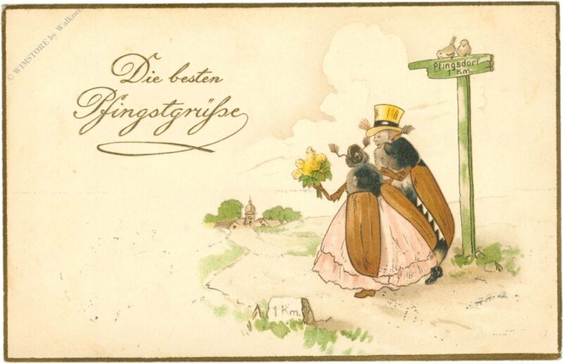 pfingsten, käferpärchen pfingsten, käferpärchen