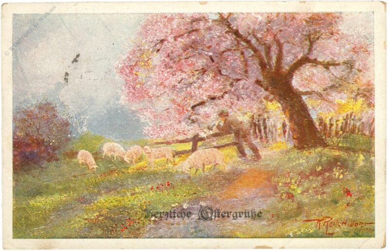 ostern, schafe unter blühendem baum ostern, schafe unter blühendem baum