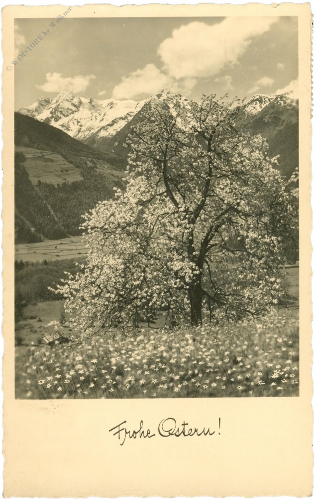 ostern, blühende alm ostern, blühende alm
