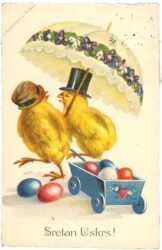 ostern, kücken