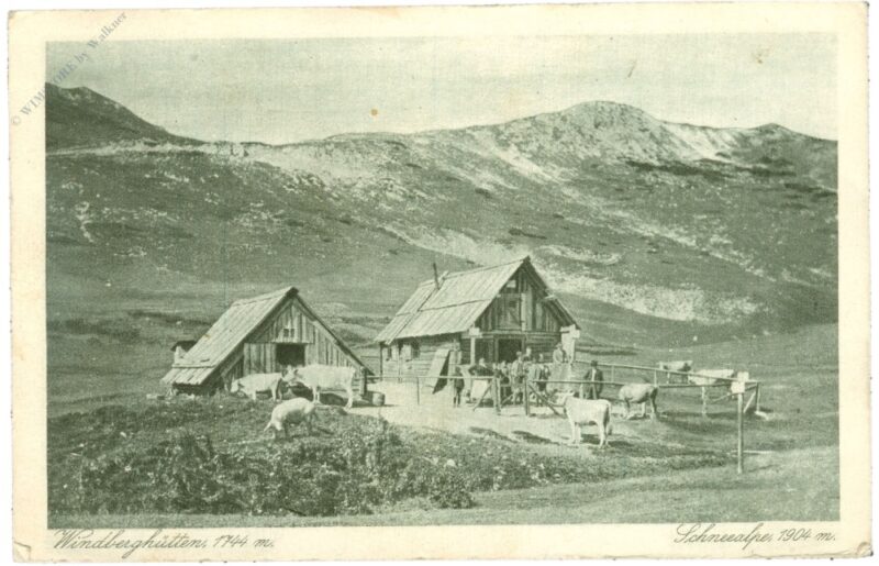 schneealpe, windberghütten schneealpe, windberghütten