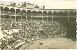 stierkampf, madrid, plaza de toros
