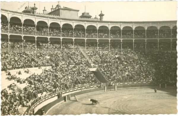 stierkampf, madrid, plaza de toros