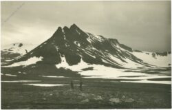 jämtland, tämplet, sylfjällen
