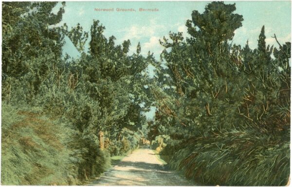 bermuda, norwood grounds