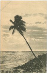 colombo, sunset at wellawatte sea shore