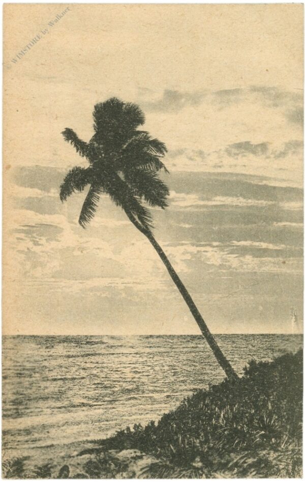 colombo, sunset at wellawatte sea shore