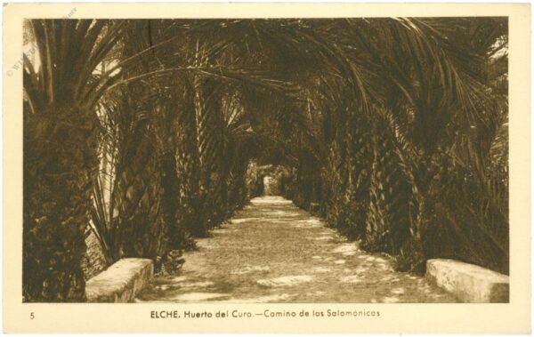 elche, huerto del curo elche, huerto del curo