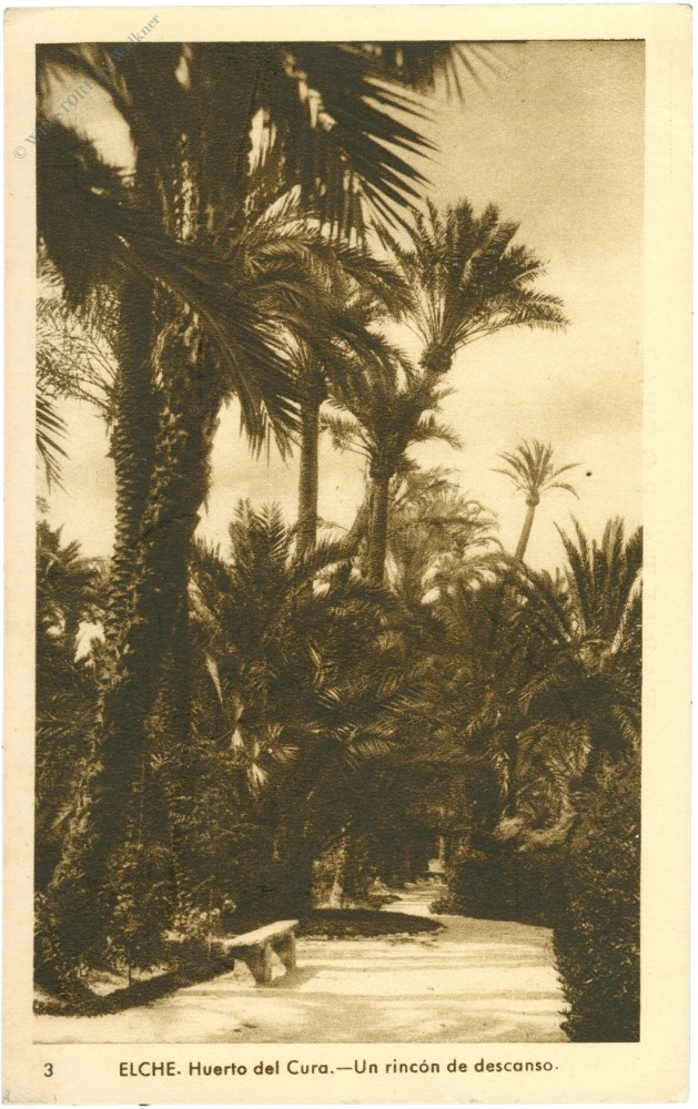 elche, huerto del cura elche, huerto del cura