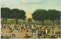 kairo, marche a l'entree de kasr el nil