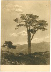 sierra de gredos, parador nacional de gredos